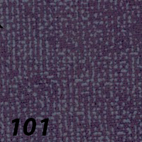 101