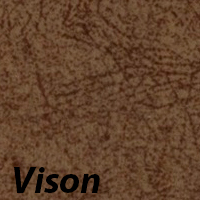 Vison