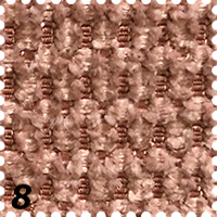 8 Rosa
