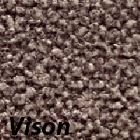 Vison